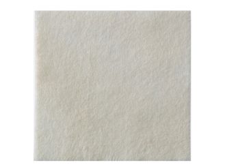 Biatain® Alginate Ag Kompressen 10 x 10 cm 1x10 Stück 