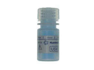 NMP22 Urin-Stabilisator 1x1 ml 